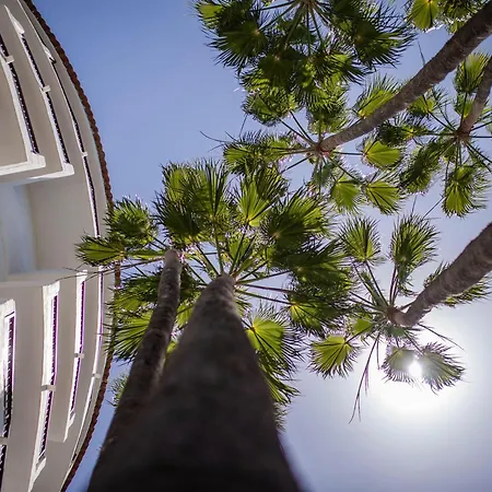 思维德威基基酒店 4*