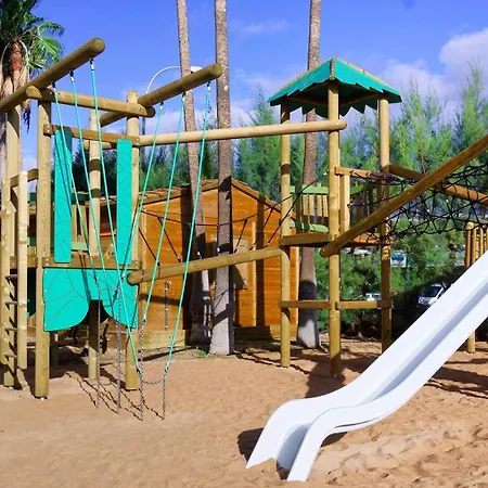 酒店 思维德威基基酒店 4*