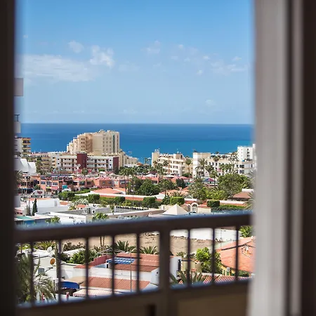 酒店 思维德威基基酒店 4*